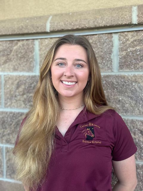 Dr. Siana Bollman at Conley & Koontz Equine Hospital