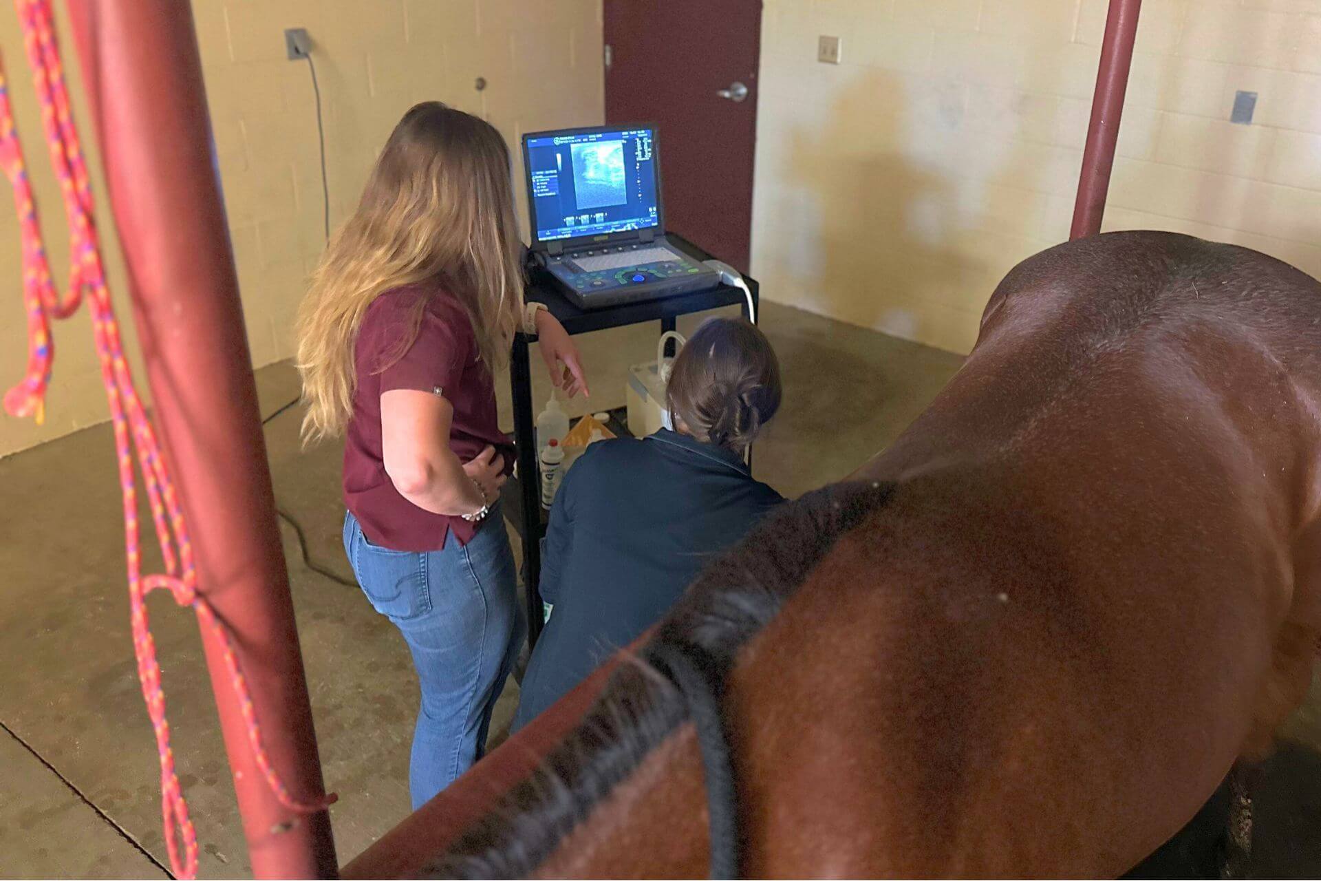 Veterinary hospital in Columbia City