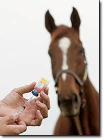 Equine Herpes virus 1
