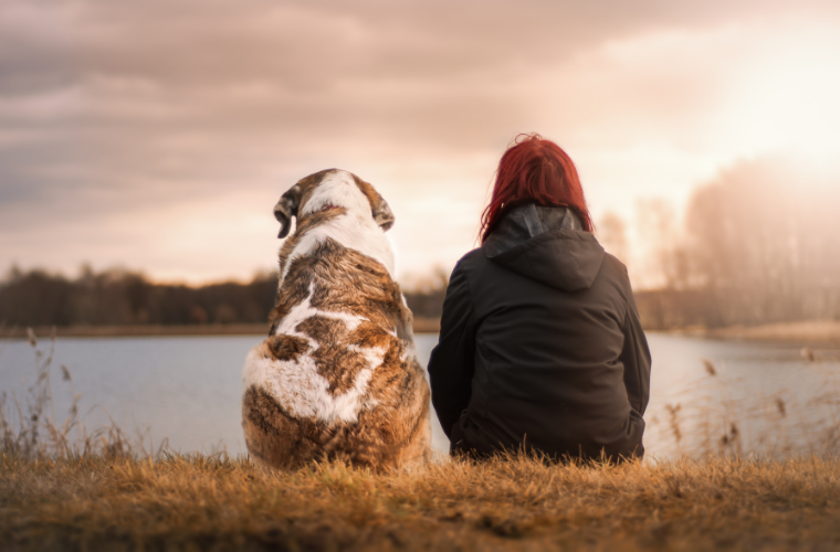Grieving Resources Pet Euthanasia - Columbia City, IN