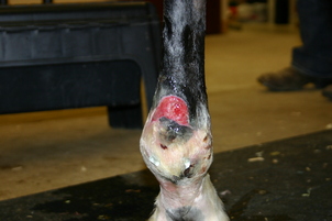 Before Shock Wave therapy