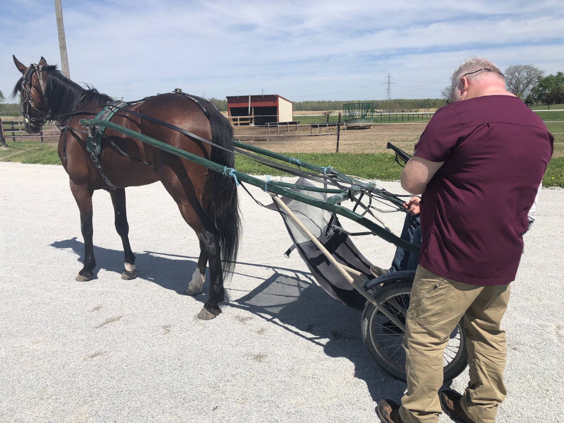 Sports Medicine at Conley & Koontz Equine Hospital